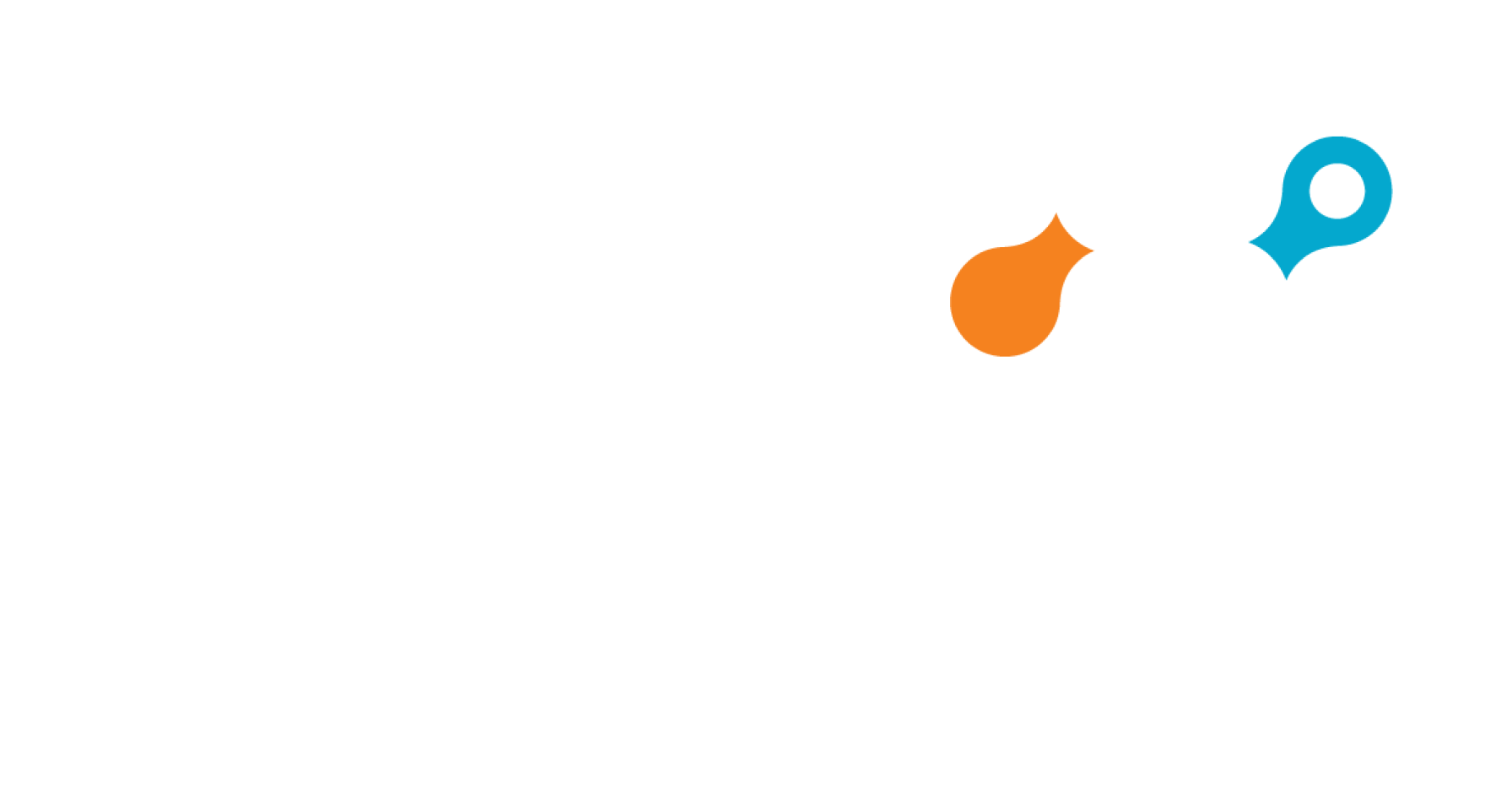 Netskope Logo